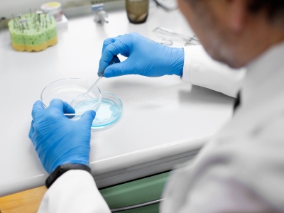 Como a Calibração Regular Garante Resultados Precisos em Análises